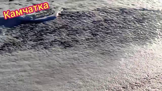 Вулканы и океаны