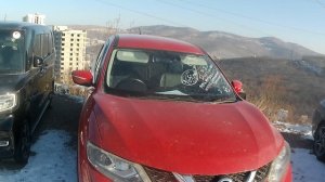 Зеленый угол-что продают на авторынке?По каким ценам?