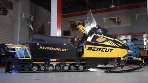 беркут лонг