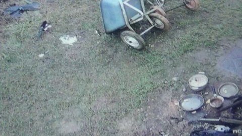 Сороки растаскивают кашу по кусочкам ПОДПИШИСЬ