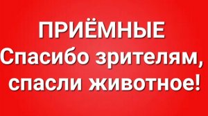 Приёмные/В последних сериях.