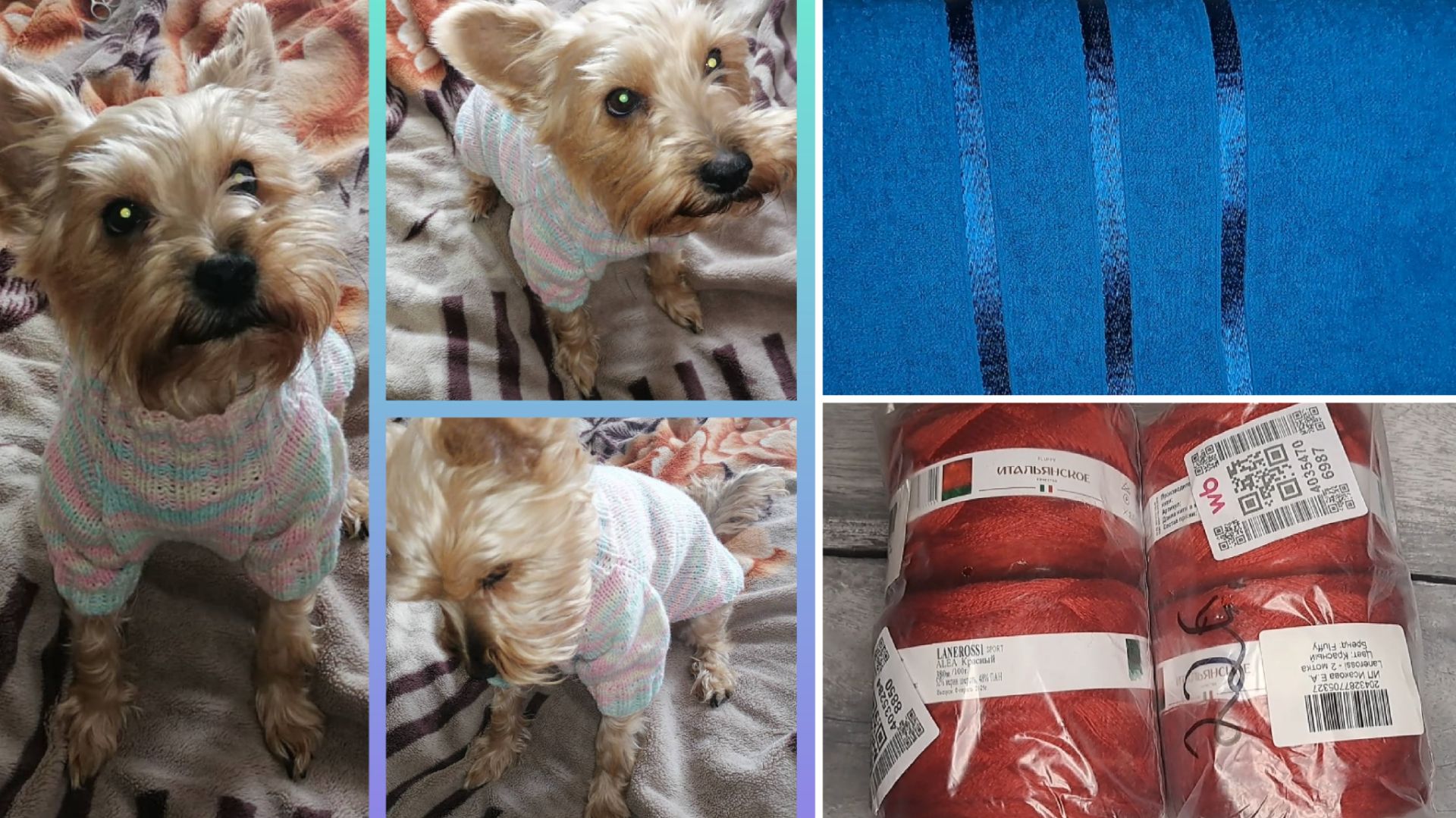 11-12 декабря. Подарочек от Елены❤️ как я вяжу свитера Нике?! Ответ на вопрос