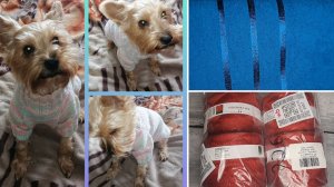 11-12 декабря. Подарочек от Елены❤️ как я вяжу свитера Нике?! Ответ на вопрос