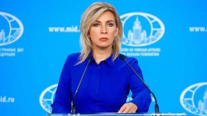 Захарова назвала дело Долиной попыткой врагов РФ рассорить россиян