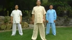 04 Вращение Неба и Земли Ли Чжэн