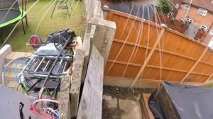 Кот с камерой отчаянно ищет друзей, громко мяукает