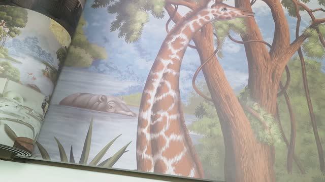 Видеообзор каталога Classic - FIVE