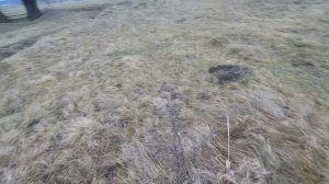 Мятые трубы лежали в воде. Очередной сброс. Металлокоп