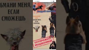 Евро-богатыри