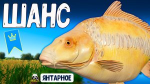 Они дают всем шанс #рр4