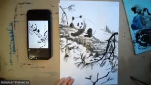 Панды.  Птицы,  (у-син)