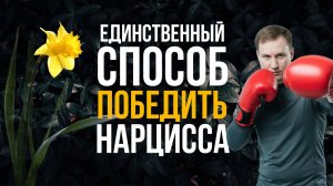 Единственный способ победить нарцисса!
