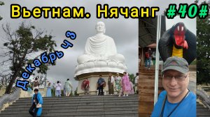 Вьетнам в декабре