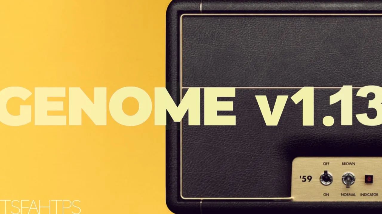 TheSuperFunAwesomeHappyTimePedalShow: Их самый ДИНАМИЧНЫЙ усилитель на сегодня... Genome v1.13