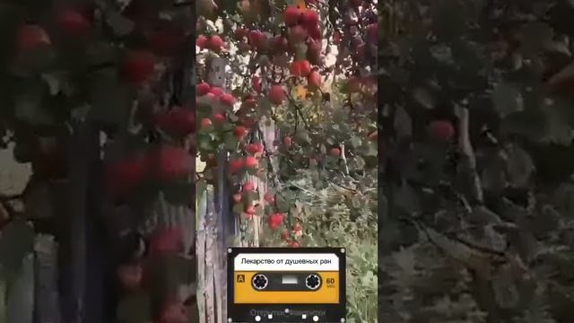 Лекарство от душевных ран