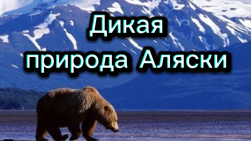 Дикая природа АЛЯСКИ