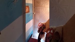 🐻И🐻Г🐻Р🐻У🐻Ш🐻К🐻И🐻