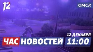 Задержали вандала / Губернатор вручил паспорта / Телебашня. Новости Омска