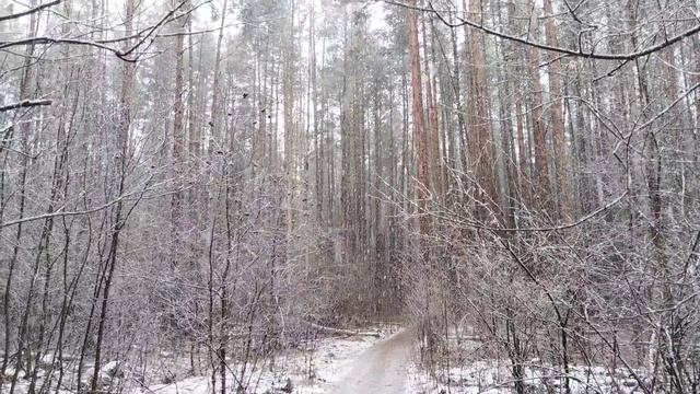 Зима на мгновение вернулась 🌨️ 🥰 смотреть онлайн