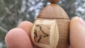 Шкатулка в декабрьском лесу