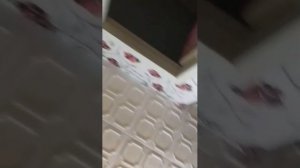 Ребята тут такое