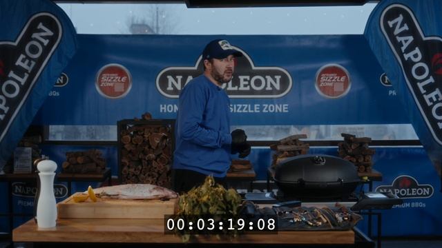 Электрический портативный гриль Napoleon® TravelQ™ PRO 285EX