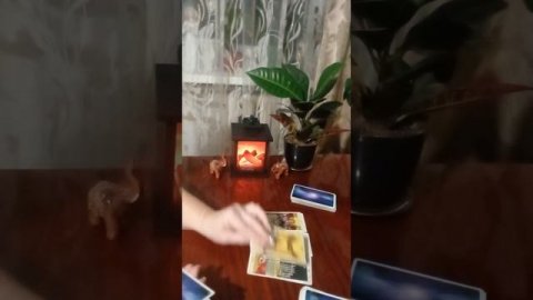 Таро.Чудо для вас.