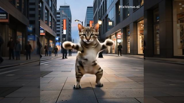 Мем Динокот