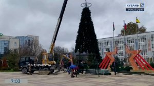 В Новороссийске начался монтаж главной новогодней елки