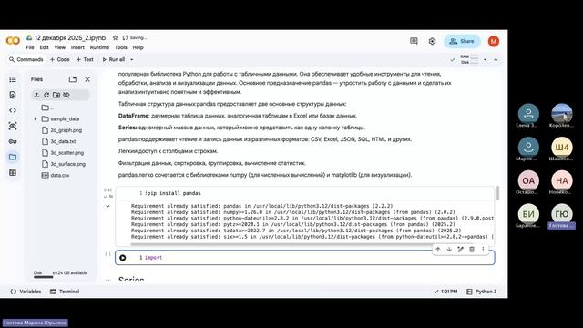 Основы алгоритмизации и прикладное программирование. 12 декабря 2025_2