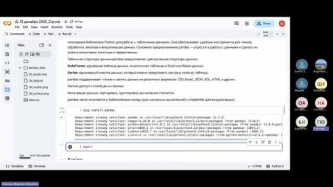 Основы алгоритмизации и прикладное программирование. 12 декабря 2025_2