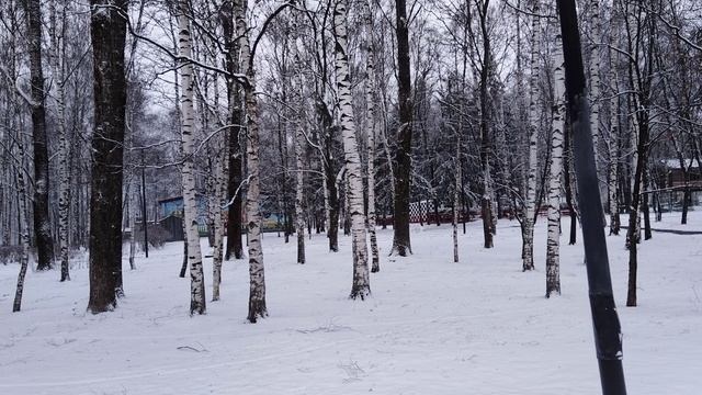 Фото к Фрагменты зимы 24, 27 ноября 2025г смотреть онлайн