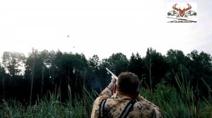 Охота на утку