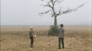 Фрагмент из фильма "Укрощение строптивого"