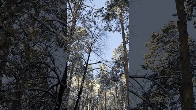 Парк «Зеленая роща». Зимняя сказка в центре Екатеринбурга смотреть онлайн