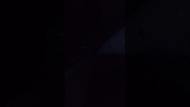 сплю трансляция на всю ночь 💋 смотреть онлайн