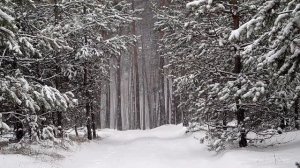 Пятница 12.12 - День, который изменит все.