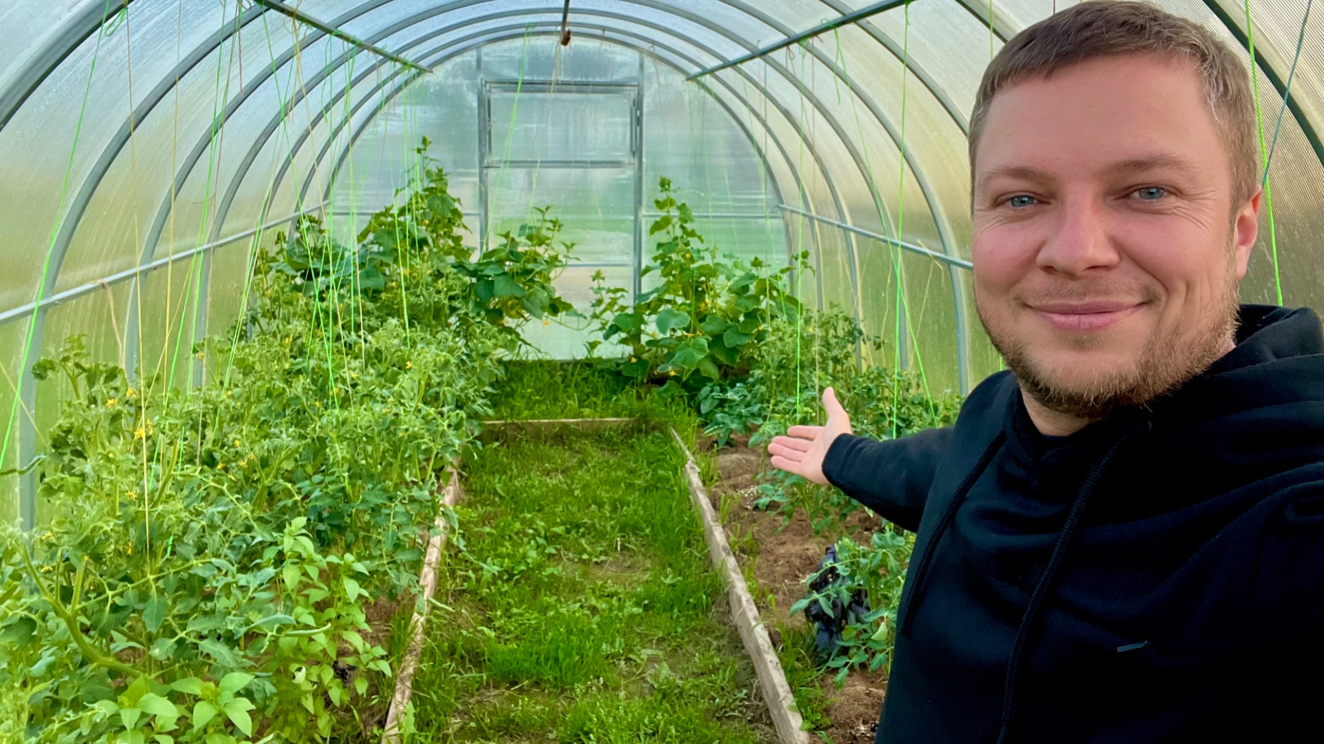 Собрал первый урожай и уничтожил очередной муравейник.