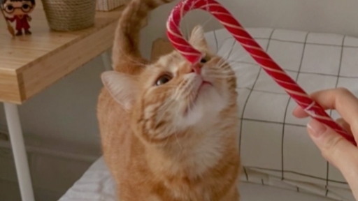 3 часть мой недельный влог среда!! смотреть онлайн