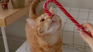 3 часть мой недельный влог среда!!