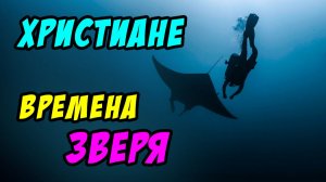 Что христиане будут покупать во времена зверя? - Борис Сороковский. Христианские проповеди
