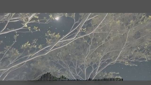 Gurcan Erdem - Moonlit Secrets