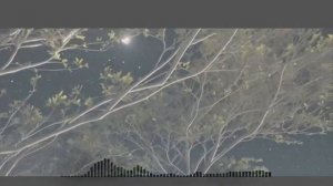 Gurcan Erdem - Moonlit Secrets