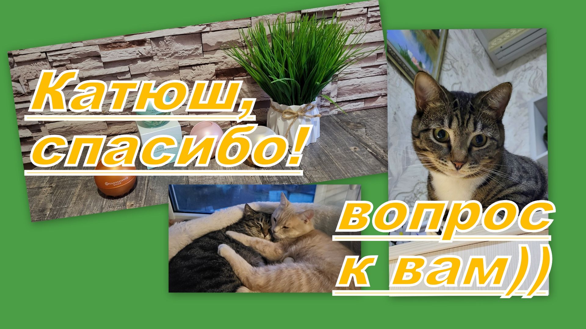 ВЛОГ: ПОДАРОК ОТ КАТЮШКИ! ВОПРОС ЭЙВОНЦАМ)) ИНТЕРЕСНЫЕ ПОКУПКИ...