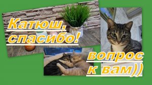 ВЛОГ: ПОДАРОК ОТ КАТЮШКИ! ВОПРОС ЭЙВОНЦАМ))  ИНТЕРЕСНЫЕ ПОКУПКИ...