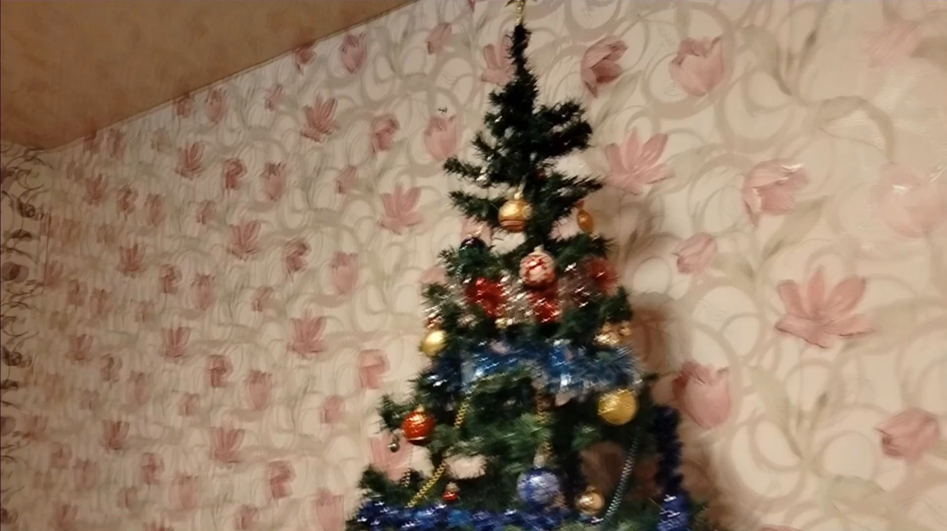 ПРОСТАЯ ЖИЗНЬ 45//ПРОГУЛКА ПЕРЕД СНОМ И ДОМОЙ//