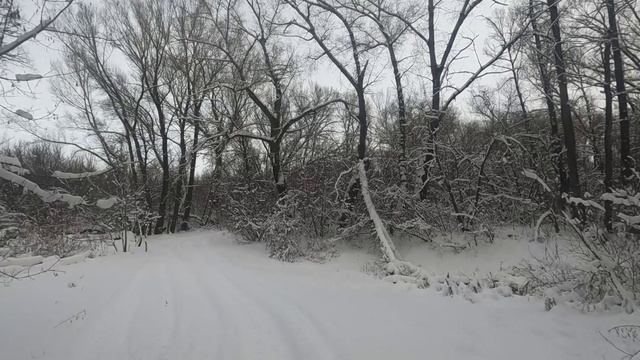 Под покровом декабря.😊