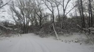 Под покровом декабря.😊
