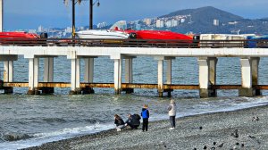 ✅️🌴12 ДЕКАБРЯ В АДЛЕРЕ: +11°ВОЗДУХ, МОРЕ +15°, НАБЕРЕЖНАЯ АДЛЕРА И ПЛЯЖИ В МЕЖСЕЗОНЬЕ, ЛУЧШИЕ МЕСТА