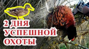 2 ДНЯ УДАЧНОЙ ОХОТЫ